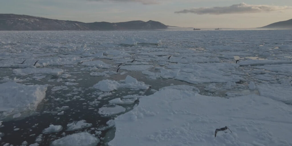 climate change image