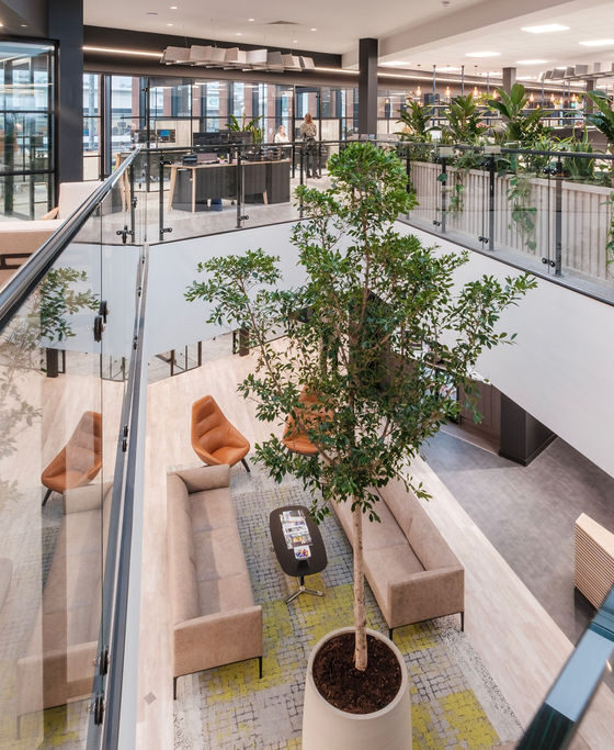 Commercial Fit Out, Office Refurbishment Company, Chameleon Business Interiors