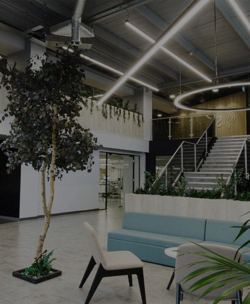 swfit dental aspect ratio