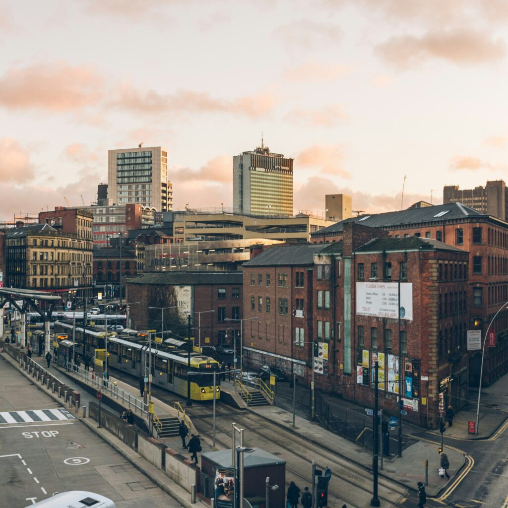 Manchetser Location Chameleon scaled aspect ratio