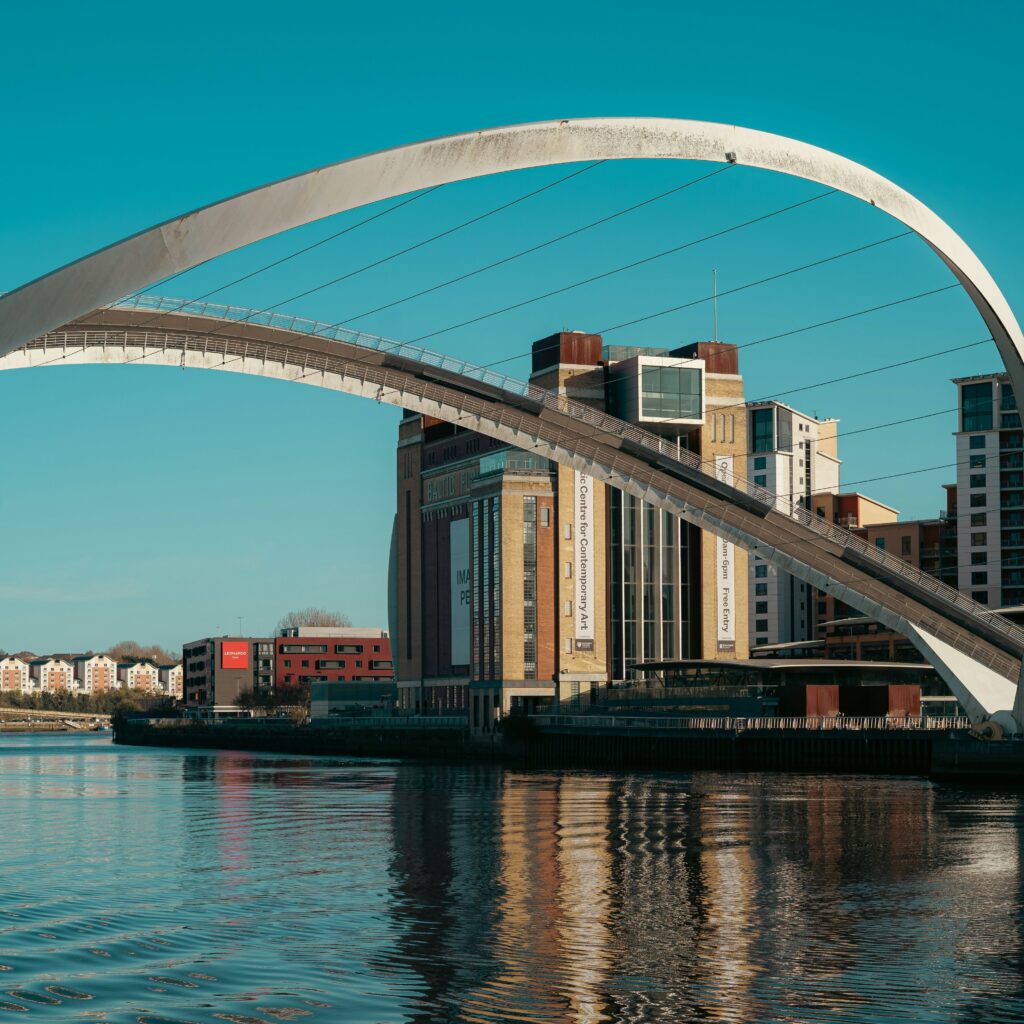 Newcastle Location Chameleon scaled aspect ratio